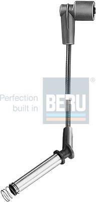 BERU R165