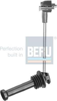 BERU R209