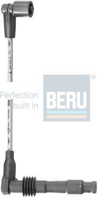 BERU R220