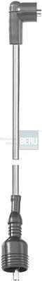 BERU R225