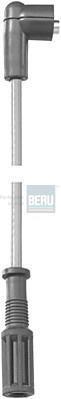 BERU R275