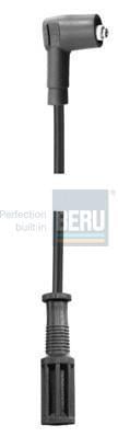BERU R416