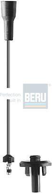 BERU R49