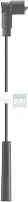 BERU R60