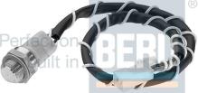 BERU ST074
