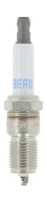 BERU UPT9