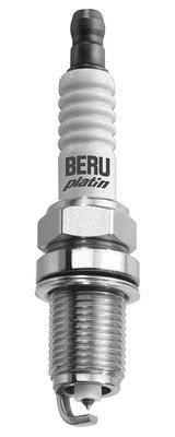 BERU Z313