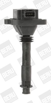 BERU ZS310