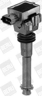 BERU ZS311