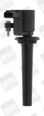 BERU ZS389