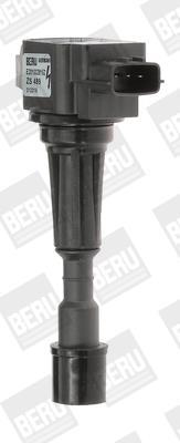 BERU ZS489