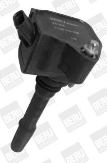 BERU ZS538