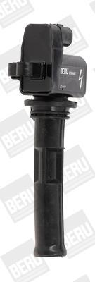 BERU ZS549