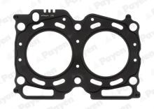 PAYEN AG5590