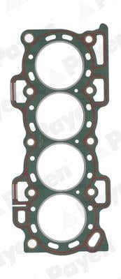 PAYEN BR880