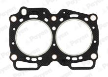 PAYEN BV450