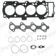 PAYEN CG8500