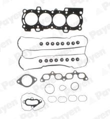 PAYEN CG9560