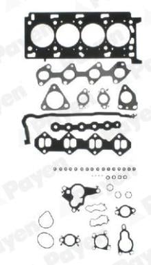 PAYEN CG9760