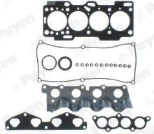 PAYEN CG9900