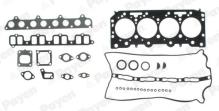 PAYEN CG9910