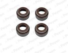 PAYEN HR5085