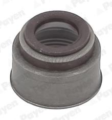PAYEN HR5144