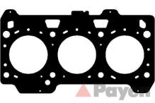 PAYEN AG9710