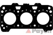 PAYEN AG9730