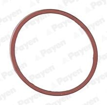 PAYEN JD5107