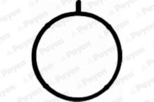 PAYEN JD5156