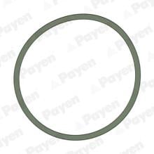 PAYEN JD5228