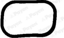 PAYEN JD5328