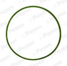 PAYEN JD5982