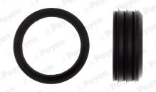 PAYEN JD6006