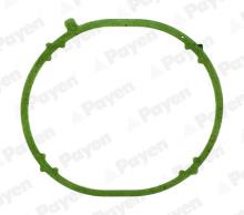 PAYEN JD6031