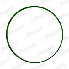 PAYEN JD6034