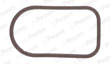 PAYEN JD6163