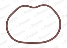 PAYEN JD6166