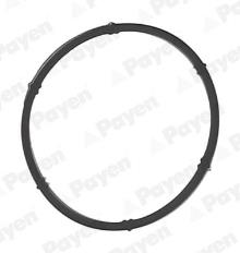 PAYEN JD6171