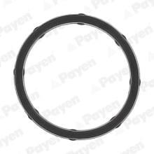 PAYEN JD6172