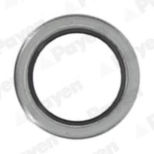 PAYEN KG5011
