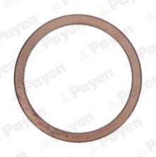 PAYEN KG5148