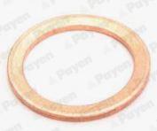 PAYEN KG5158