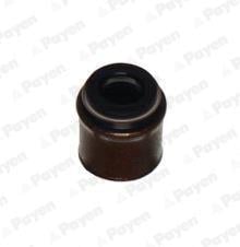 PAYEN KJ454