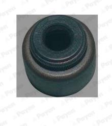 PAYEN KJ722