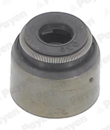 PAYEN PA6055