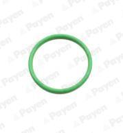 PAYEN PA858