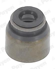 PAYEN PB681