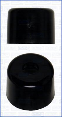 AJUSA 12013100